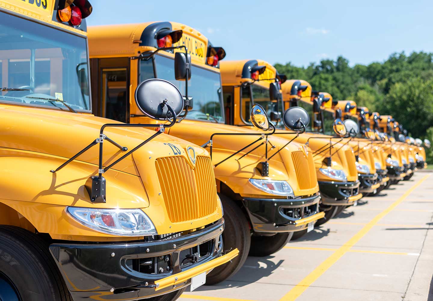 Shiny yellow school buses parked in the school parking lot.